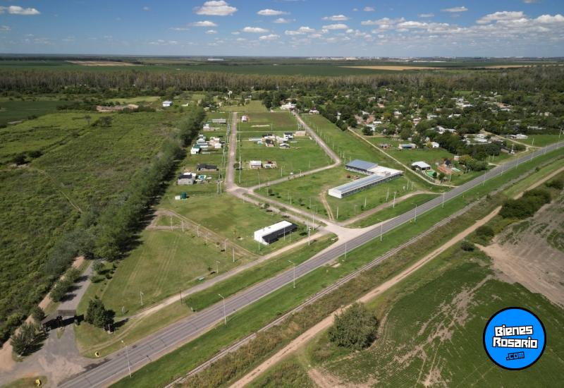 Terrenos - Oliveros - Venta