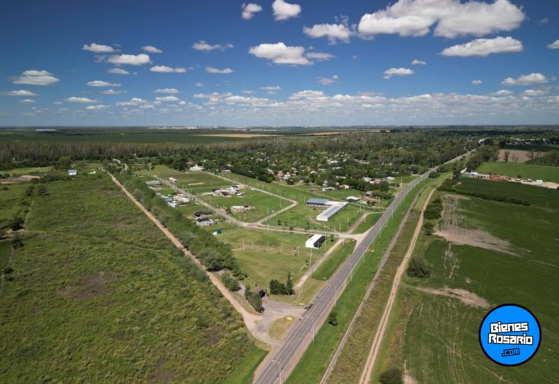 Terrenos - Oliveros - Venta