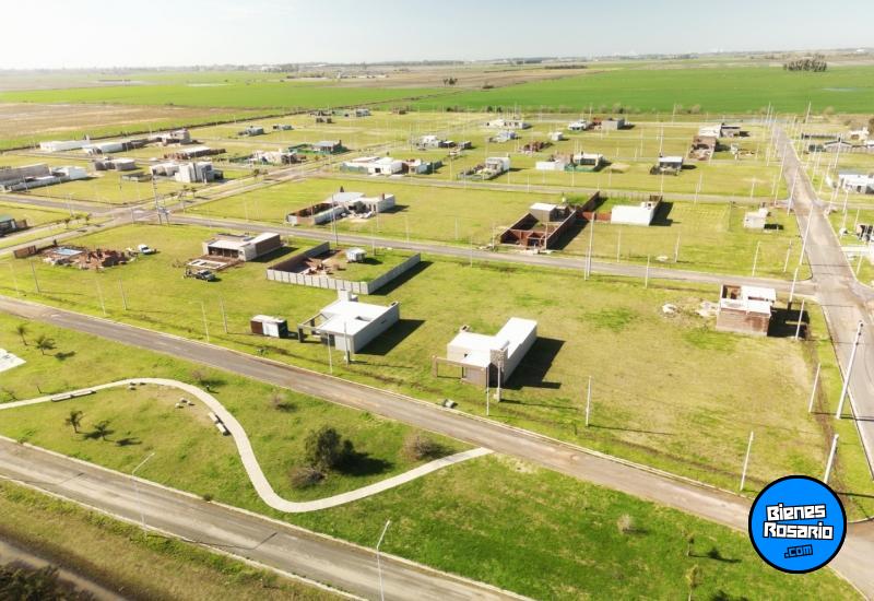 Terrenos - Ricardone - Venta
