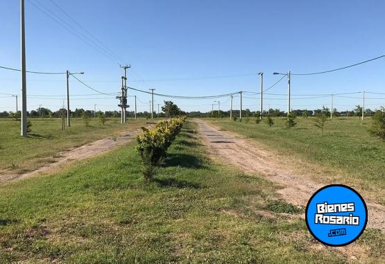 Terrenos - Ibarlucea - Venta