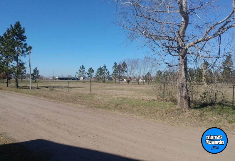 Terrenos - Roldan - Venta