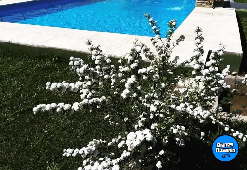 Casas - Alvear - Venta