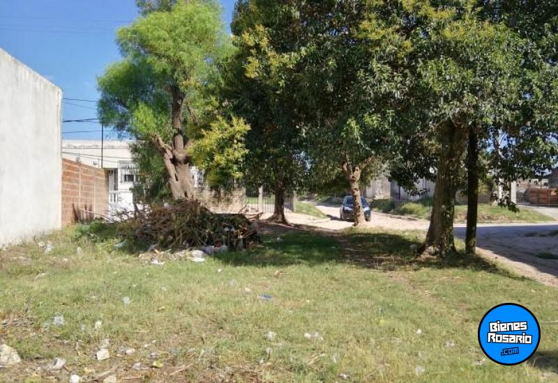 Terrenos - Victoria - Venta