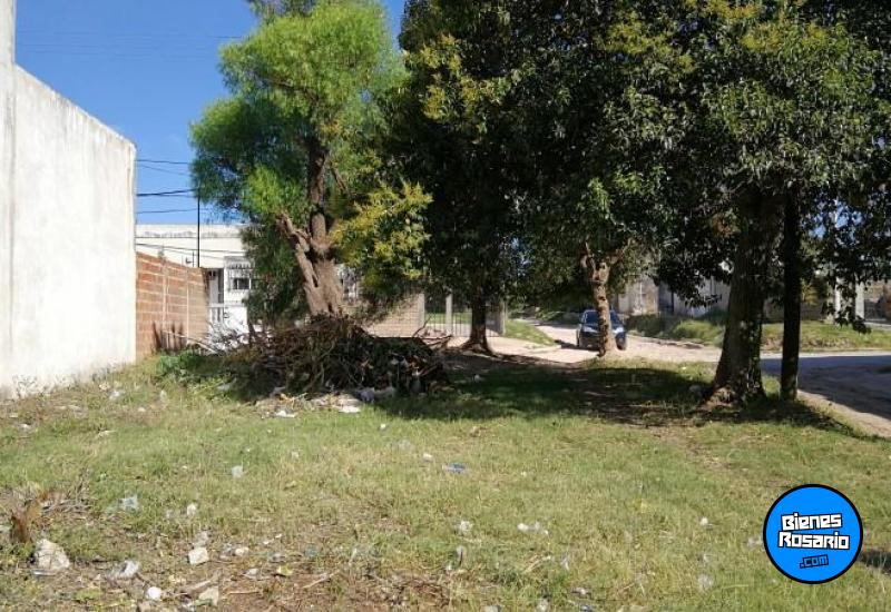 Terrenos - Victoria - Venta