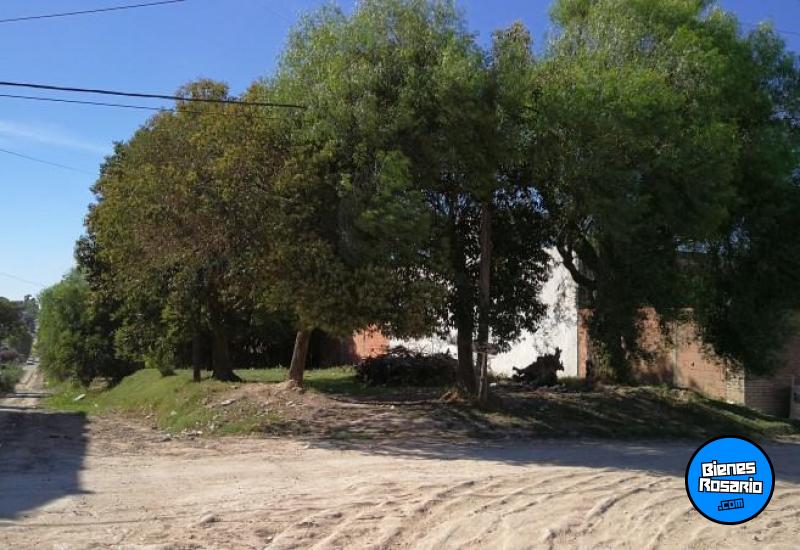 Terrenos - Victoria - Venta
