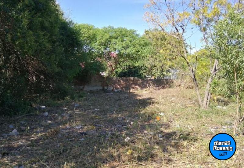 Terrenos - Victoria - Venta