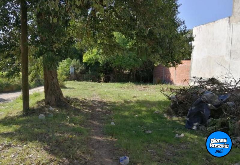 Terrenos - Victoria - Venta