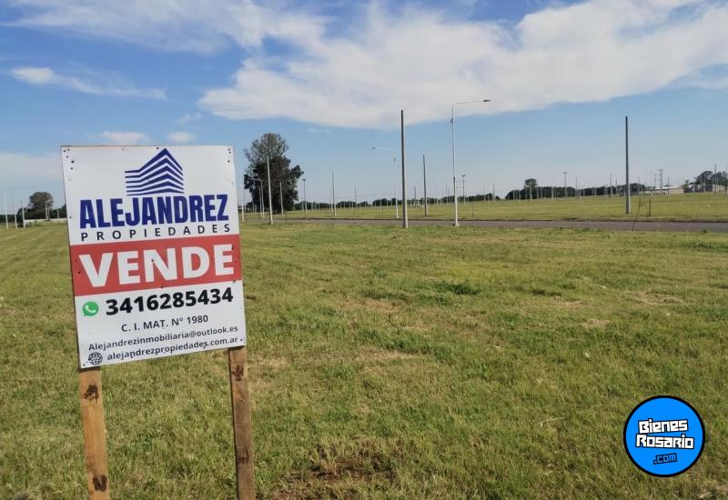 Terrenos - Arroyo Seco - Venta