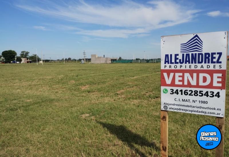 Terrenos - Arroyo Seco - Venta