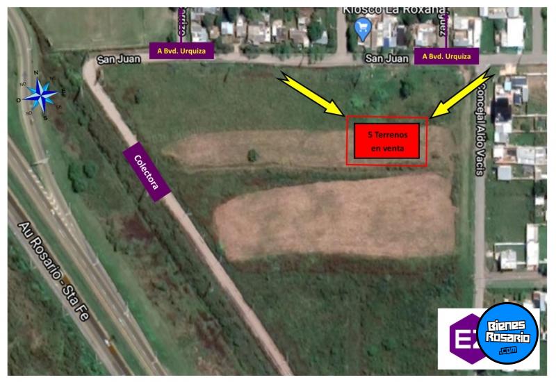 Terrenos - San Lorenzo - Venta