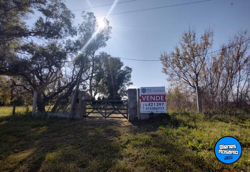 Casas - Palacios, Luis ,est.la Salada - Venta