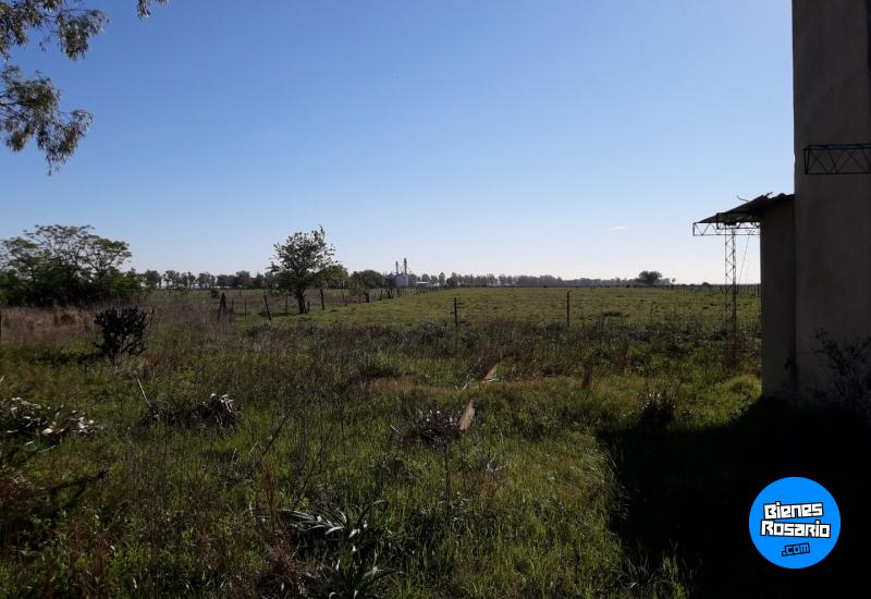 Casas - Palacios, Luis ,est.la Salada - Venta