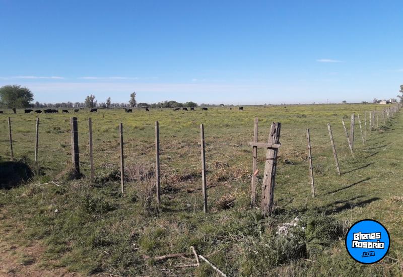 Casas - Palacios, Luis ,est.la Salada - Venta