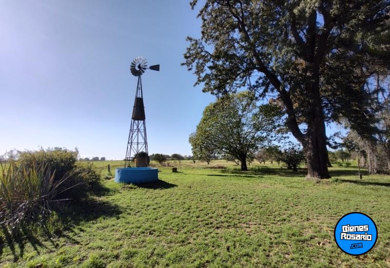 Campos - San Nicolas De Los Arroyos,est.s.nicolas - Venta