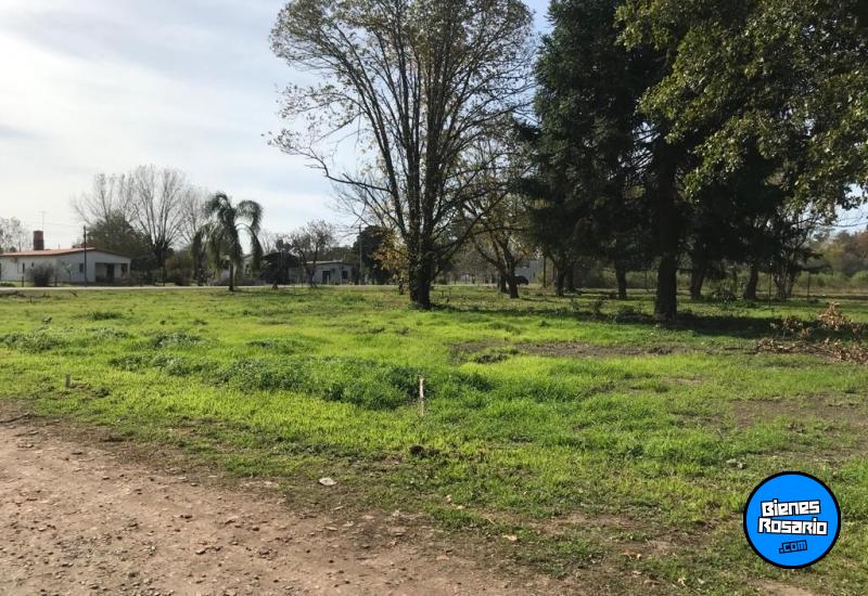 Terrenos - Ibarlucea - Venta