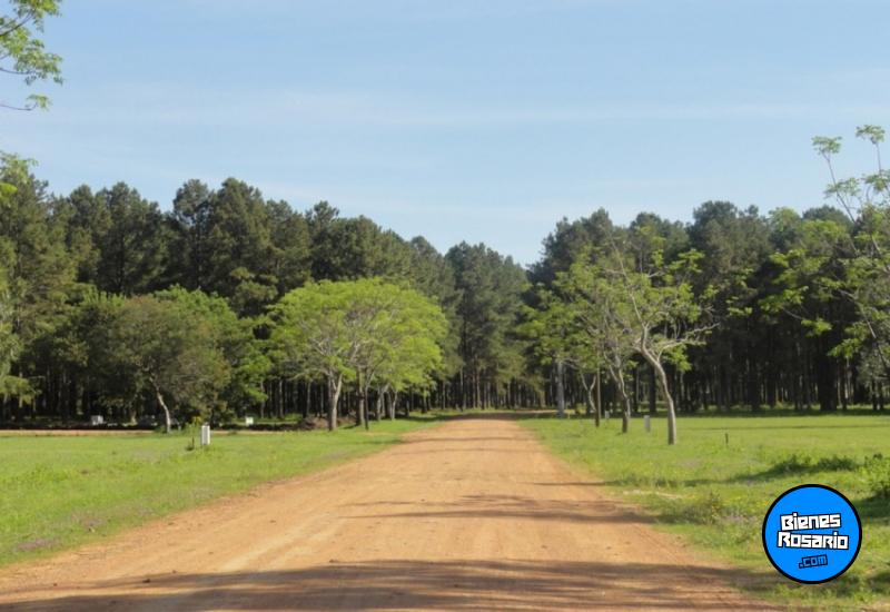 Terrenos - Otra Ciudad - Venta