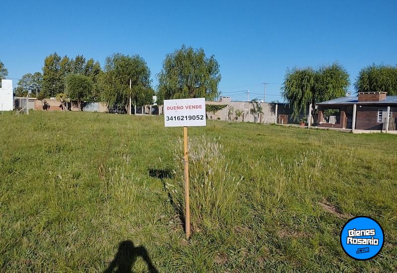 Terrenos - Zavalla - Venta