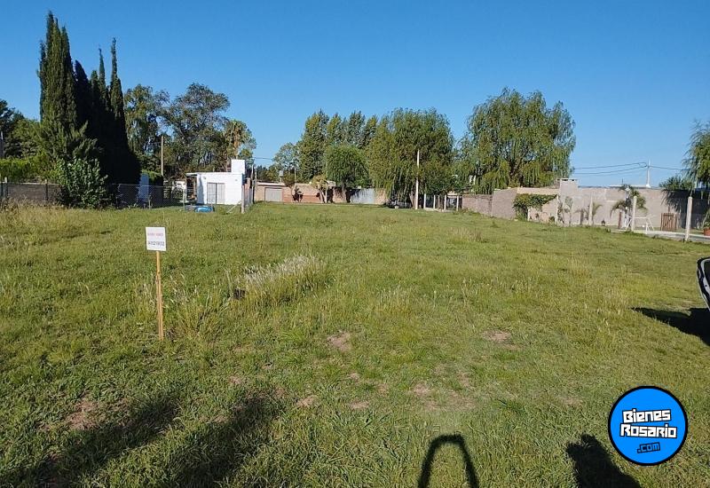 Terrenos - Zavalla - Venta