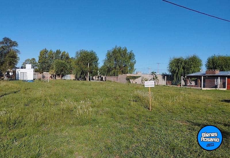 Terrenos - Zavalla - Venta