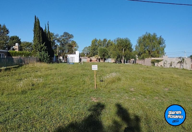 Terrenos - Zavalla - Venta