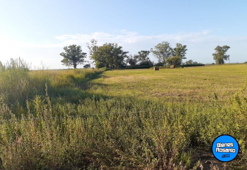 Campos - Iriondo - Venta