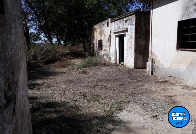 Campos - Iriondo - Venta