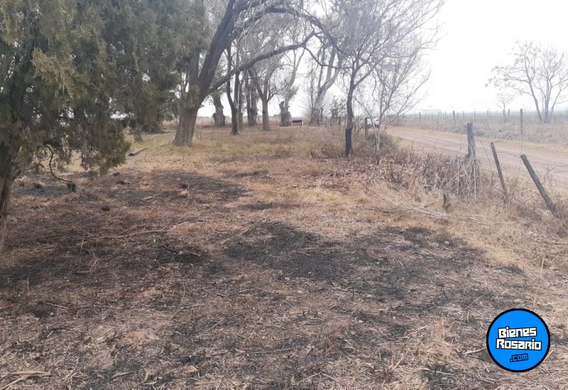 Campos - Iriondo - Venta