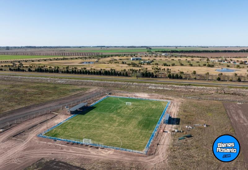 Terrenos - Ibarlucea - Venta
