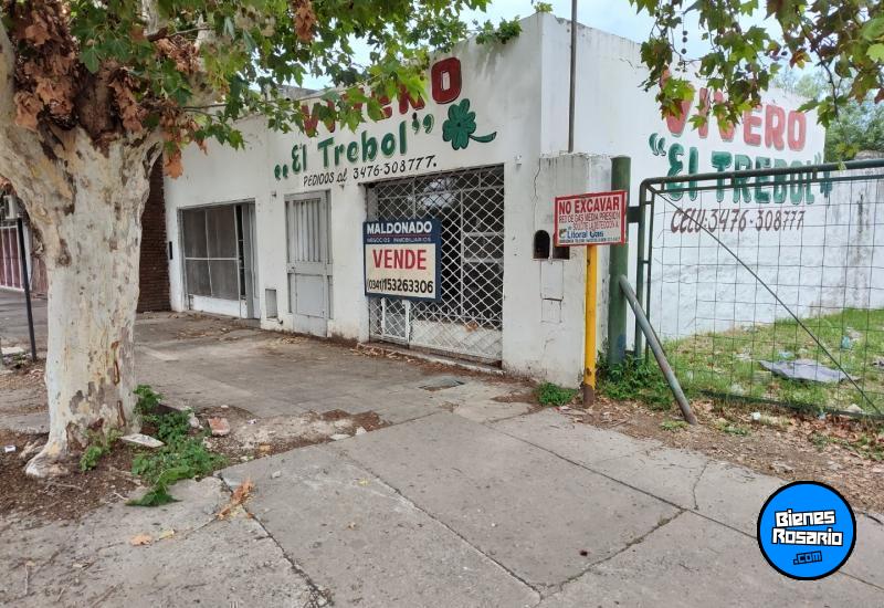 Locales - San Lorenzo - Venta