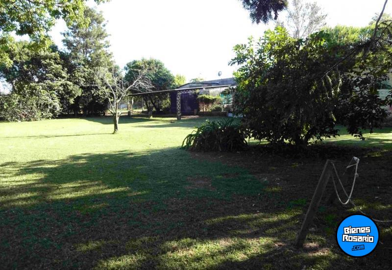 Terrenos - Monje - Venta