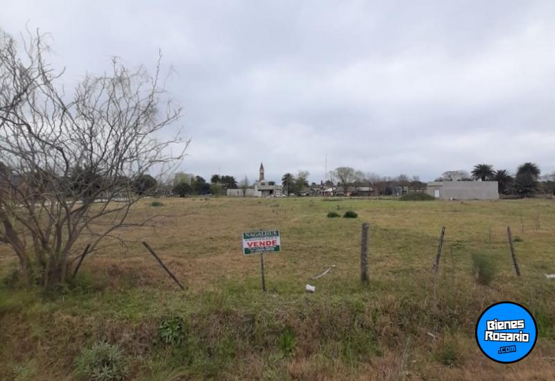 Terrenos - Melincue - Venta