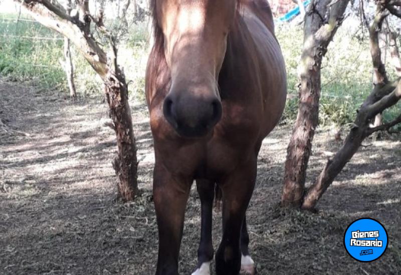 Terrenos - Valle Hermoso - Venta
