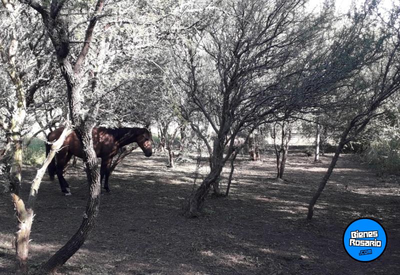 Terrenos - Valle Hermoso - Venta