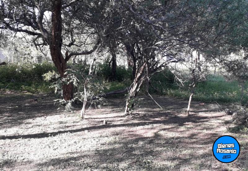 Terrenos - Valle Hermoso - Venta