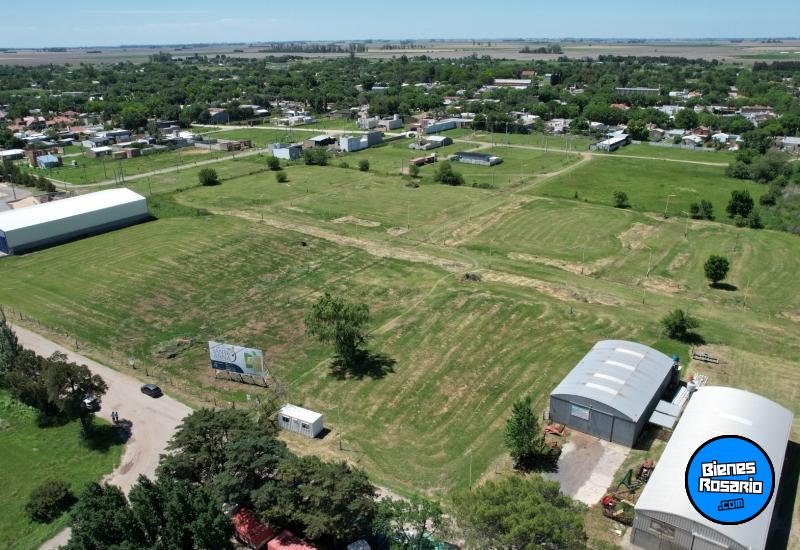 Terrenos - Iriondo - Venta