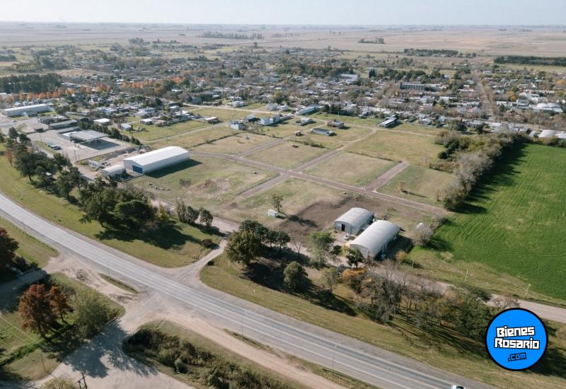 Terrenos - Iriondo - Venta
