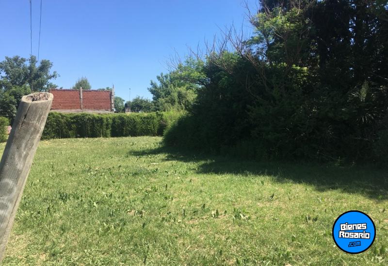Terrenos - Ibarlucea - Venta