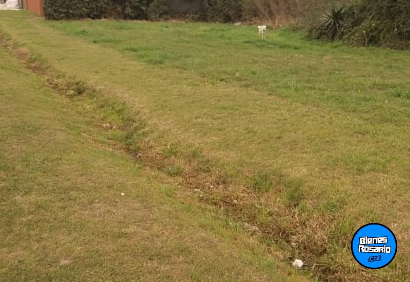 Terrenos - Ibarlucea - Venta