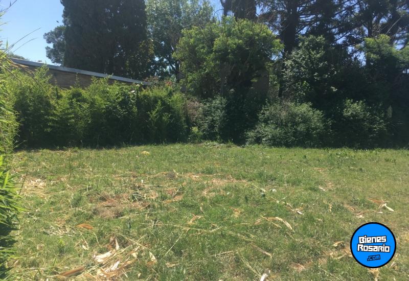 Terrenos - Ibarlucea - Venta