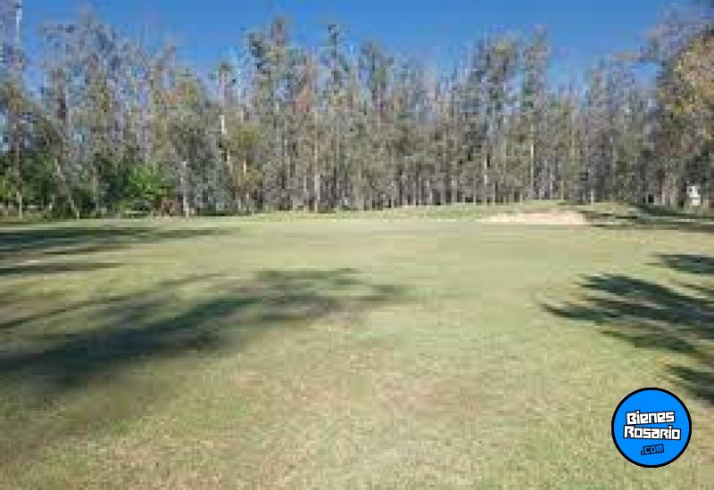 Terrenos - Oliveros - Venta