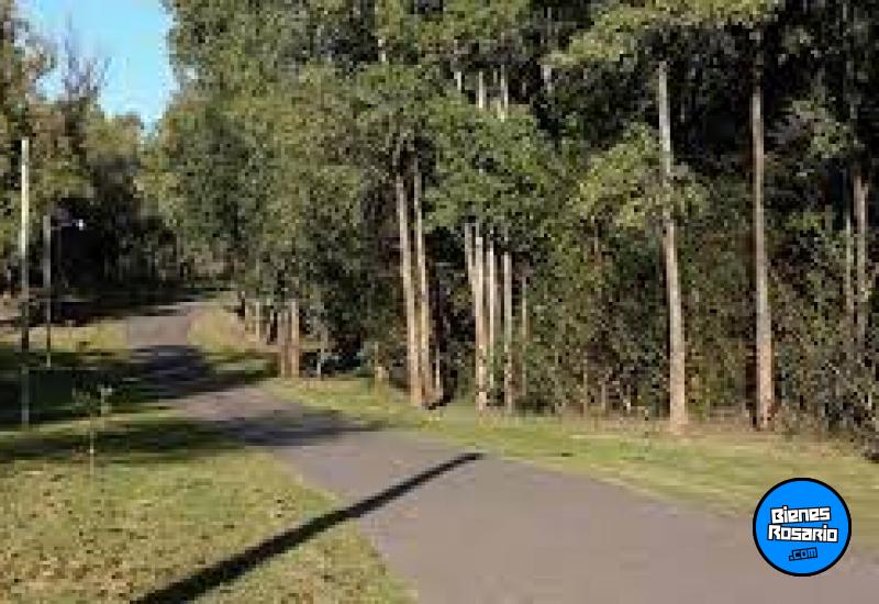Terrenos - Oliveros - Venta