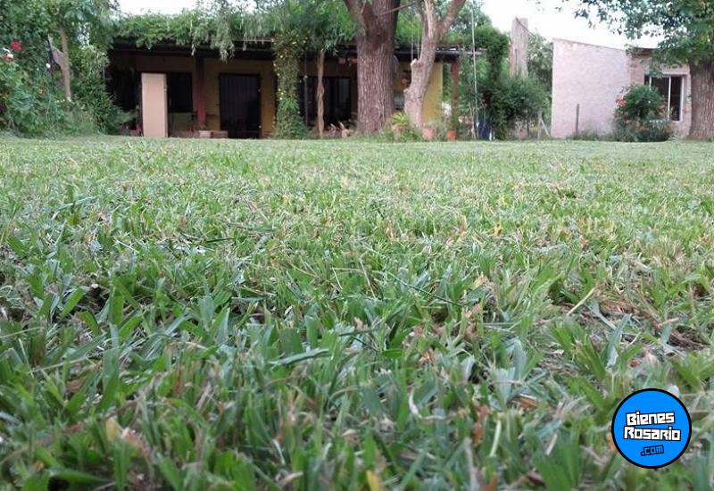 Casas - Palacios, Luis ,est.la Salada - Venta