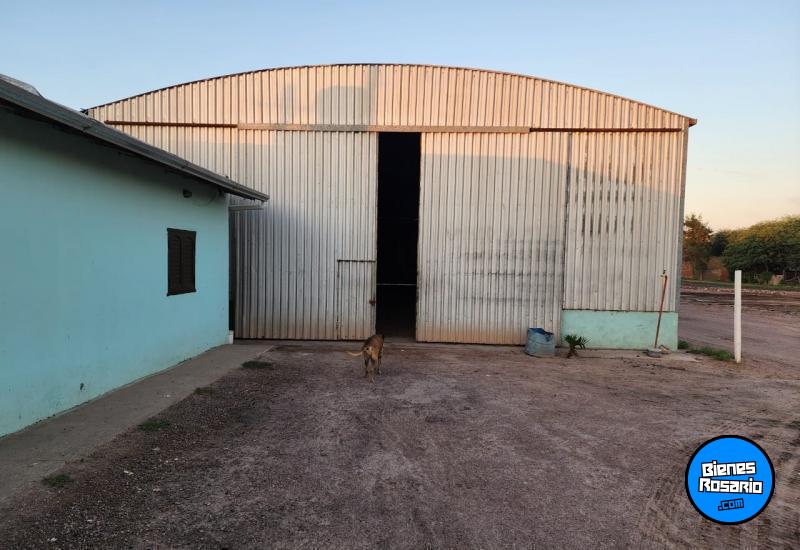 Galpones / Depósitos - Otra Ciudad - Venta