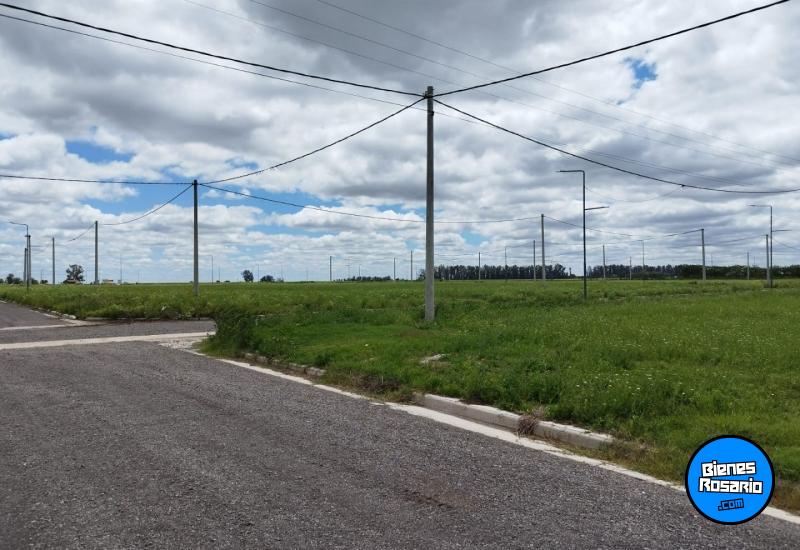 Terrenos - Alvarez - Venta