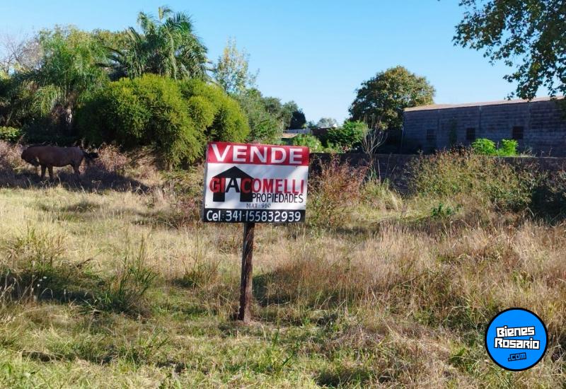 Terrenos - Alvarez - Venta