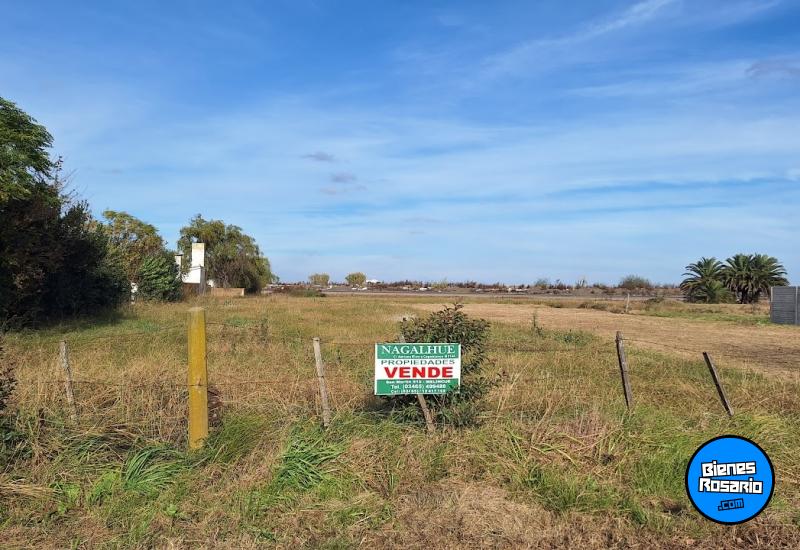 Terrenos - Melincue - Venta