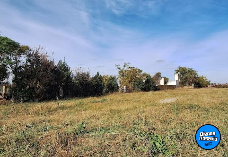 Terrenos - Melincue - Venta