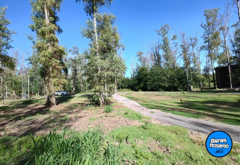 Terrenos - Timbues - Venta