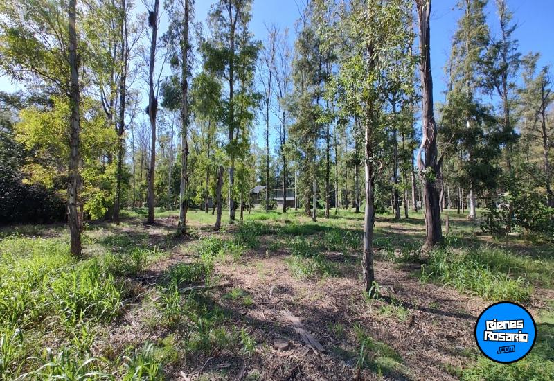 Terrenos - Timbues - Venta
