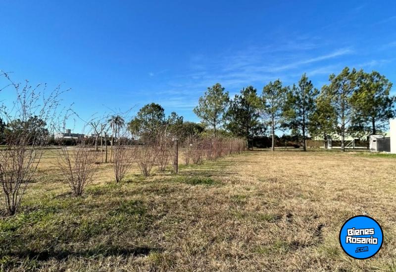 Terrenos - Funes - Venta